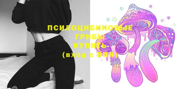 PSILOCYBIN Медвежьегорск