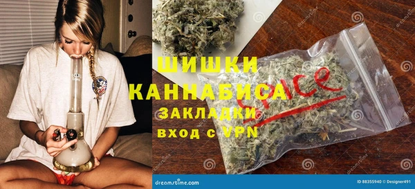 PSILOCYBIN Медвежьегорск