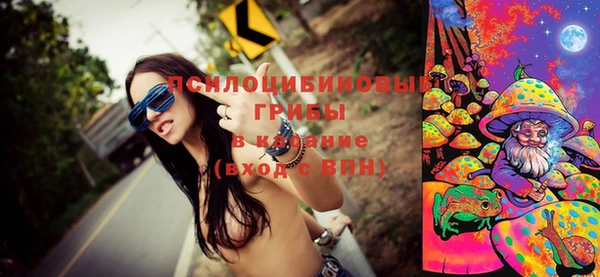 PSILOCYBIN Медвежьегорск