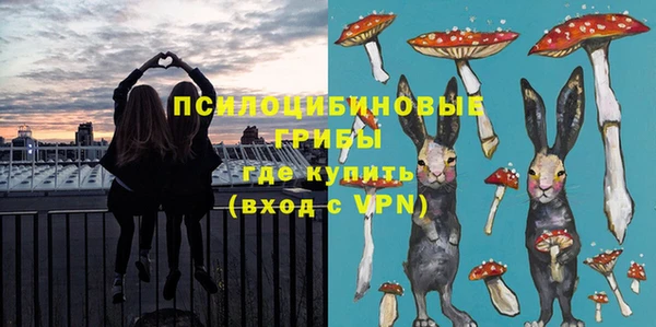 PSILOCYBIN Медвежьегорск