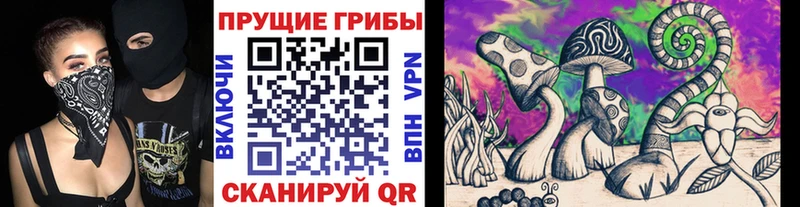 Псилоцибиновые грибы GOLDEN TEACHER Новокузнецк