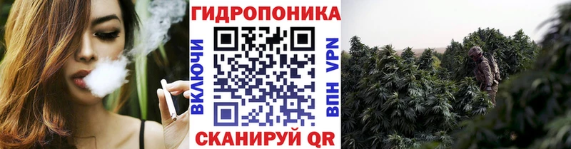 Шишки марихуана ГИДРОПОН Новокузнецк